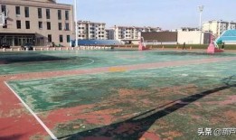 今日葫芦岛爆料,揭秘神秘事件背后的真相